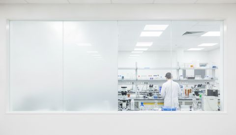 Illustration of a laboratory observation window from the corridor, two panels frosted an even milky white and two clear showing benches and microscopes